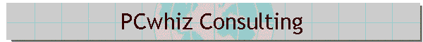 PCwhiz Consulting
